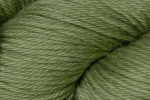 Spring Green